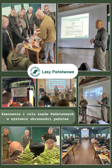 🌲 Lasy to zdecydowanie nie tylko drewno – to również bezpieczeństwo!🌲