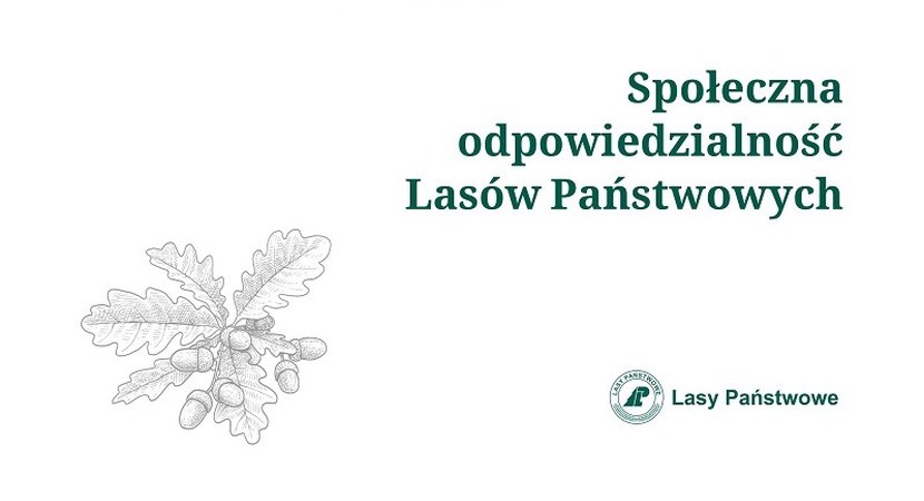 Społeczna odpowiedzialność Lasów Państwowych