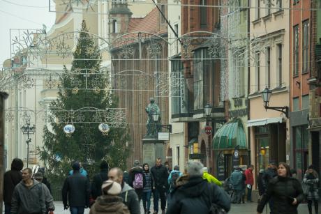 Toruń zdobią choinki z Lasów Państwowych
