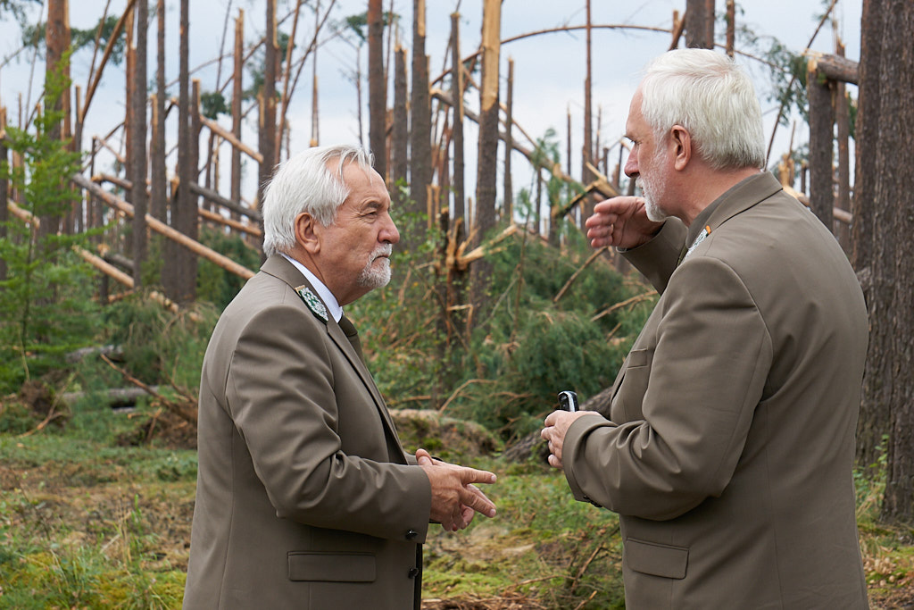 Dyrektor generalny odwiedza zniszczone lasy i rozmawia z premier