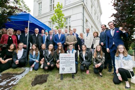 Dąb Niepodległości rośnie już w Bydgoszczy