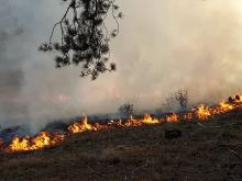 Duże zagrożenie pożarowe w lasach