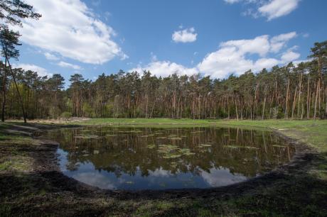 Leśnicy będą opowiadać o tym w jaki sposób i gdzie warto spędzić czas w lesie