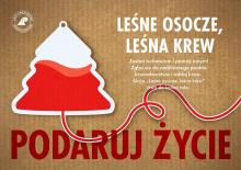 Leśne osocze, leśna krew