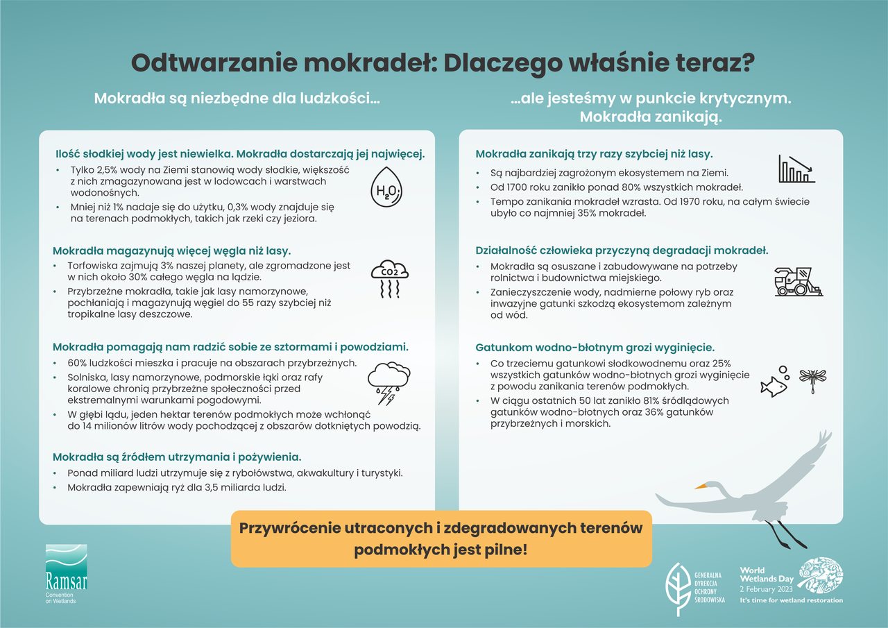 Infografika ,,Odtwarzanie mokradeł: Dlaczego właśnie teraz?'', źródło: https://www.gov.pl/web/gdos