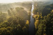 Przystąpienie do prac nad planami urządzenia lasu