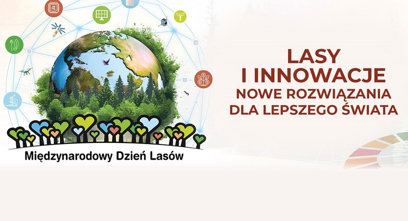 Międzynarodowy Dzień Lasów 2024