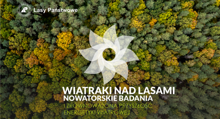 Wiatraki&#x20;nad&#x20;lasami&#x20;-&#x20;grafika