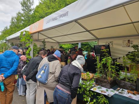 Lasy Państwowe na 28. Pikniku Naukowym: gdzie nauka spotyka naturę