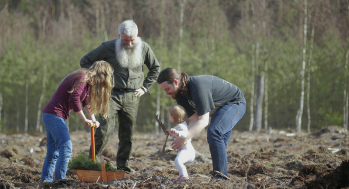 Wiosenne sadzenie lasu – jak odnawiamy polskie lasy