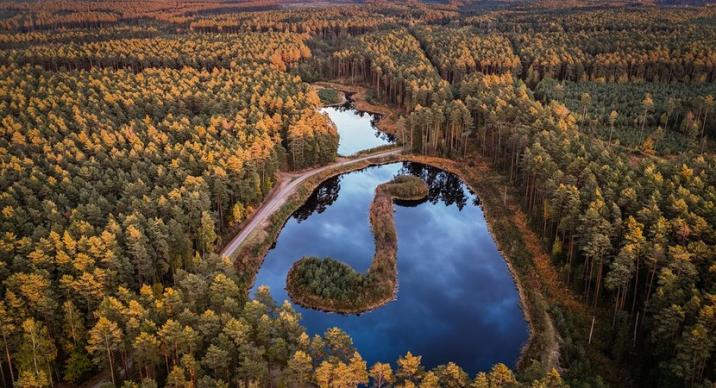 Obchodzony corocznie 3 marca Światowy Dzień Dzikiej Przyrody to święto ustanowione przez ONZ, przypominające o wartości i konieczności ochrony dzikiej fauny i flory.