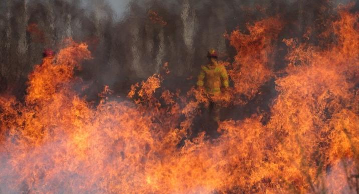 Fot. Kacper Borkowski. Zdjęcie zdobyło II nagrodę w kategorii Leśne prace w XIV edycji konkursu fotograficznego Lasy w obiektywach leśników