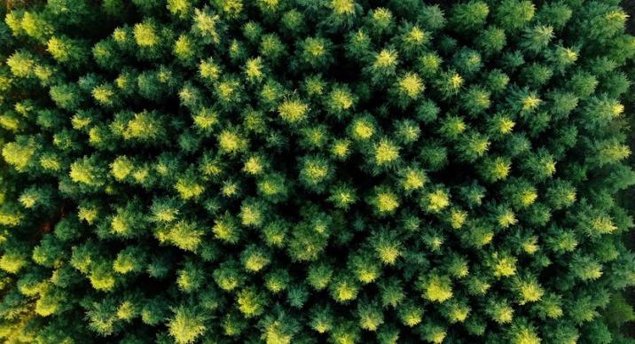 Co rok to nowe szaty