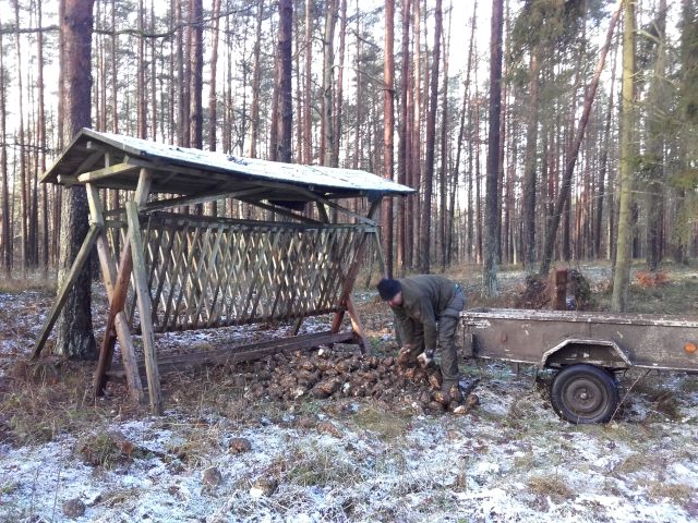 11 lutego obchodzimy Dzień Dokarmiania Zwierzyny Leśnej