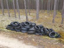N. Tuchola: Historia śmieci w lesie oponą się toczy