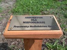 N. Rytel: Arboretum „dla Niepodległej”