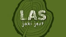 Kolejny film ,,Las, jaki jest''